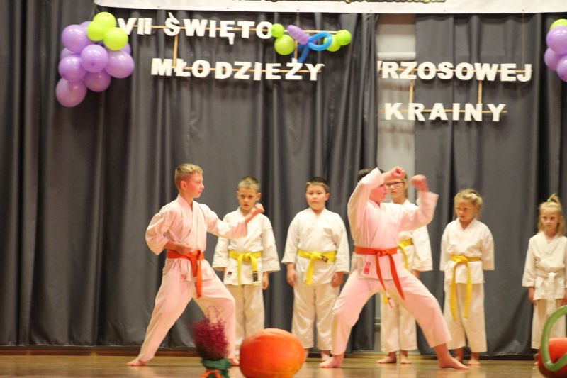 Święto Młodzieży Wrzosowej Krainy 2017