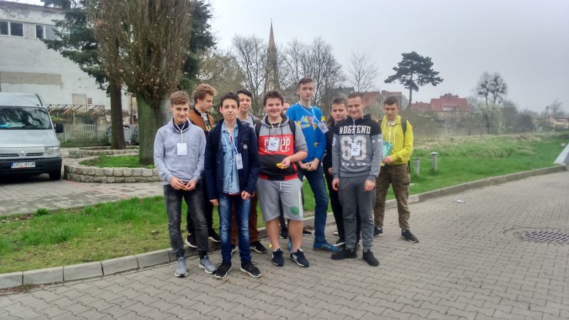 Żółte żonkile 2018