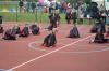 dsc_0872_t1.jpg
