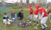 baseball2016h_t1.jpg