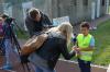 dsc_1285_800x600_t1.jpg
